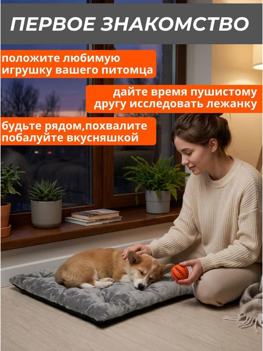 Хвостолапов Лежанка для кошек и собак мелких и средних пород 75х50 см, вариант, фото 5