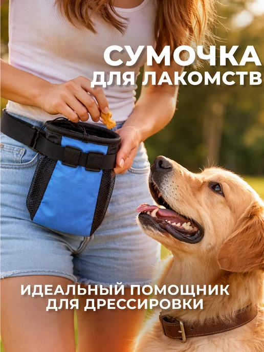 Кошковед Дрессировочная сумочка для лакомств Красная, синий