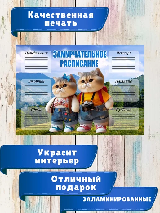 ТриШа Многоразовое расписание уроков А4 ламинированное, вариант, фото 2