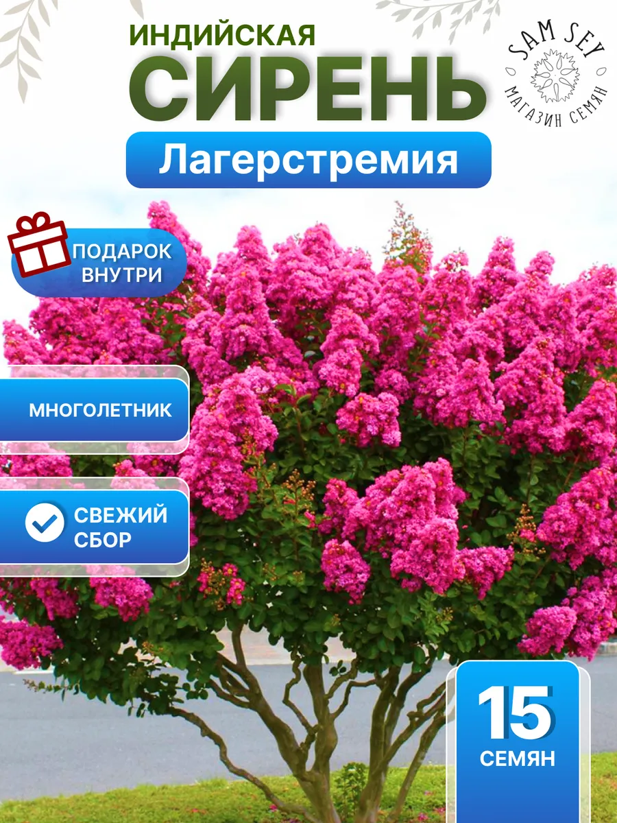 Семена Сирень Индийская Лагерстремия - 15шт