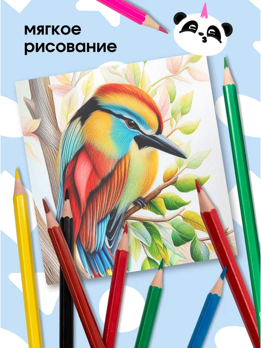 ПандаРог Карандаши цветные 24 цвета, 6 цв., фото 5