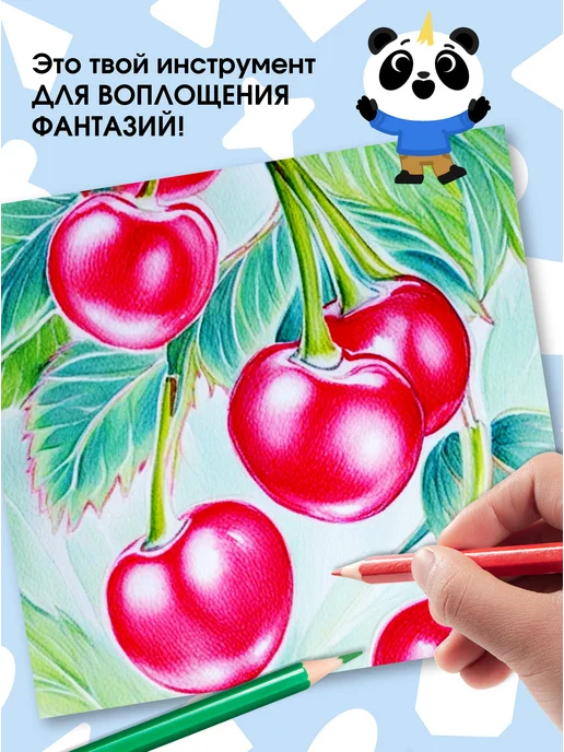 ПандаРог Карандаши цветные 24 цвета, 6 цв., фото 6