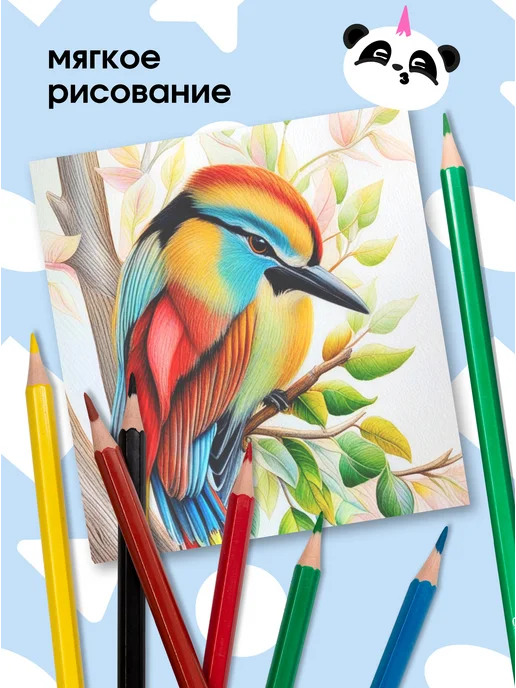 ПандаРог Карандаши цветные 24 цвета, 18 цв., фото 5