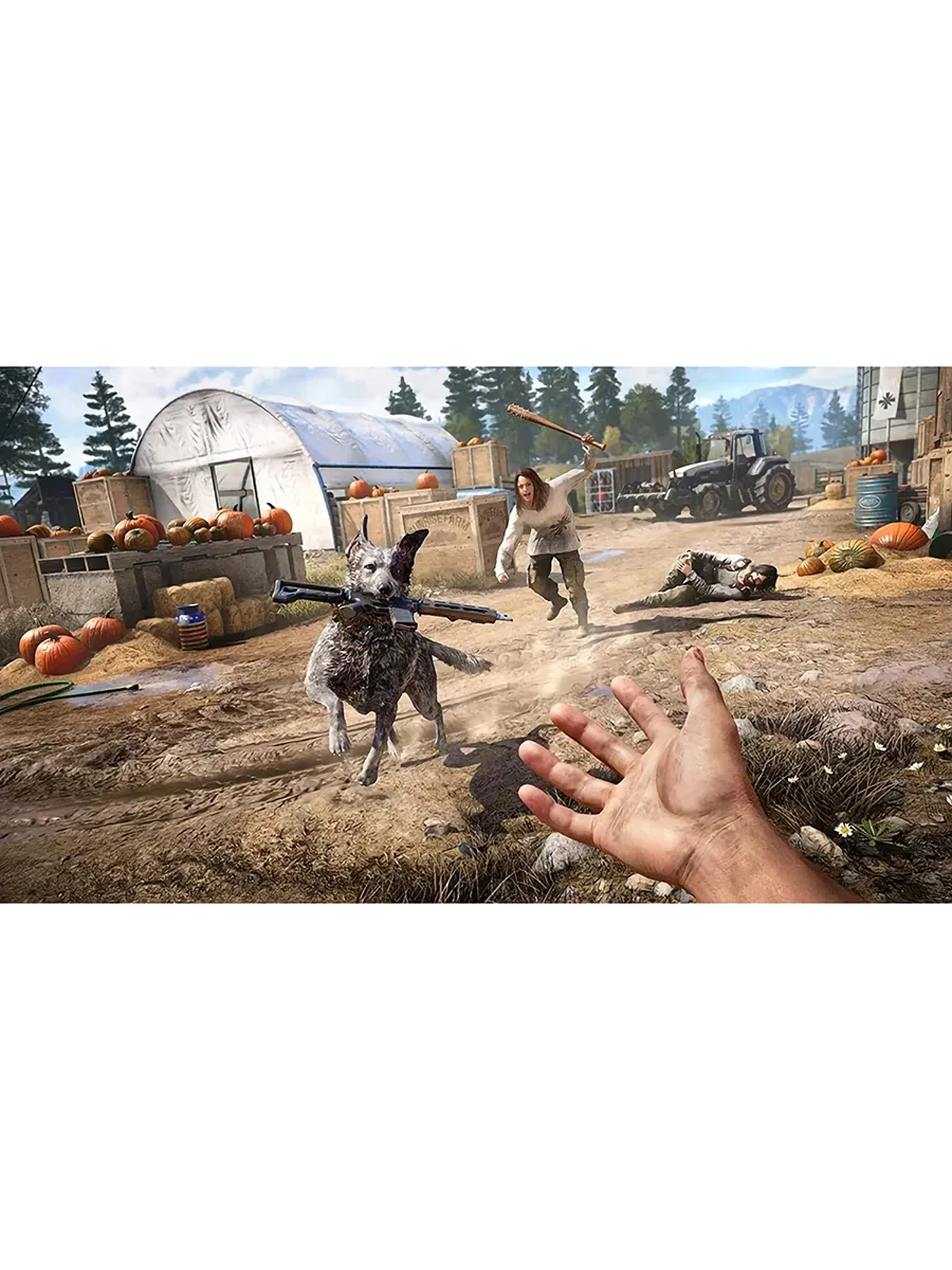 Игра для PS4: Far Cry 5 /PS4 Русский перевод