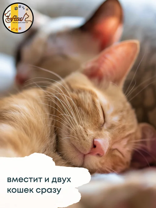FISSA Подушка-пуф для маленьких собачек и кошечек 50 х 50 см, 50x50 см, фото 3