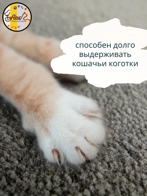 FISSA Подушка-пуф для маленьких собачек и кошечек 50 х 50 см, 50x50 см, фото 7