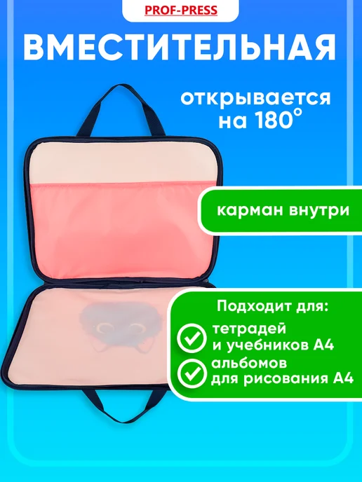 Prof-Press Папка для труда и тетрадей А4 с ручками, розовый, фото 3