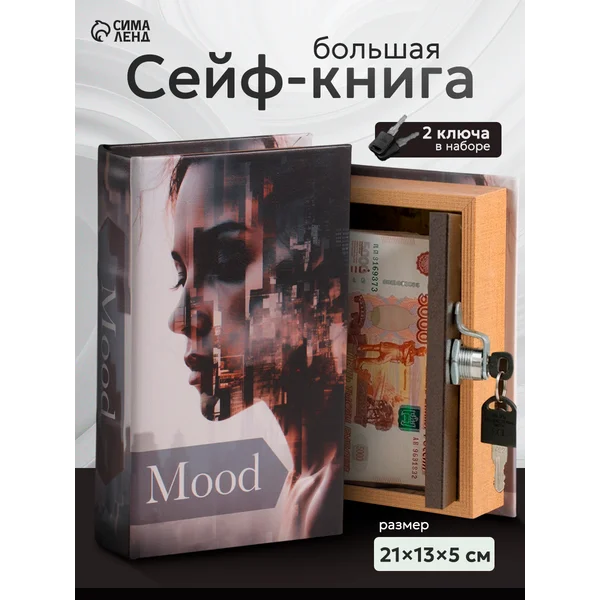 Книга-сейф Мегаполис