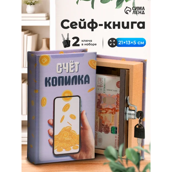 Книга-сейф Счет копилка