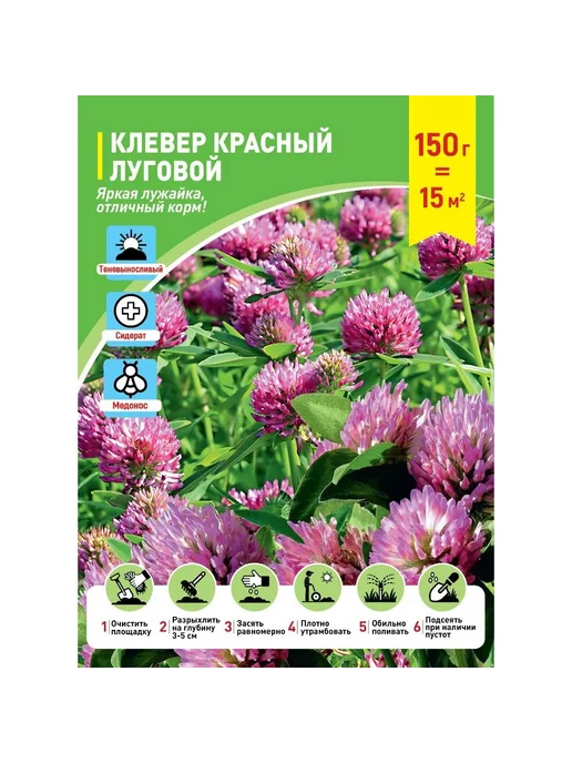 Газон Клевер красный луговой Дымковский, красный