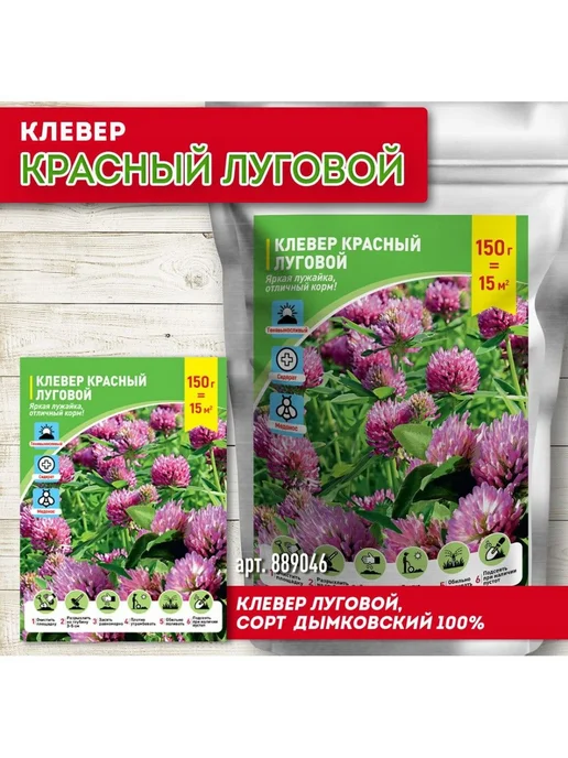 Газон Клевер красный луговой Дымковский, красный, фото 2