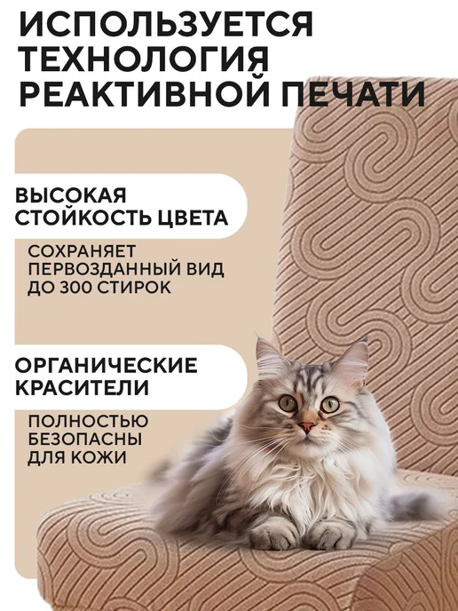 Conflate Чехлы на стулья со спинкой, 2 шт, бежевый, 2 шт, фото 4