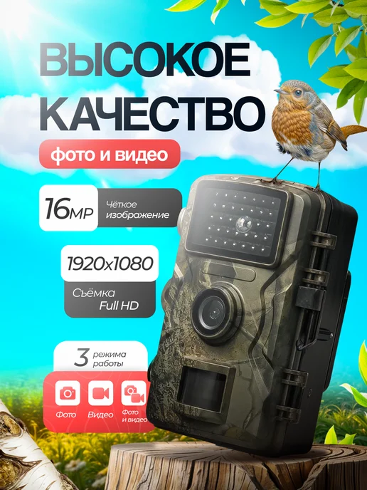 Master Hunter Фотоловушка для охоты и дачи с дисплеем и флешкой, черный, фото 2