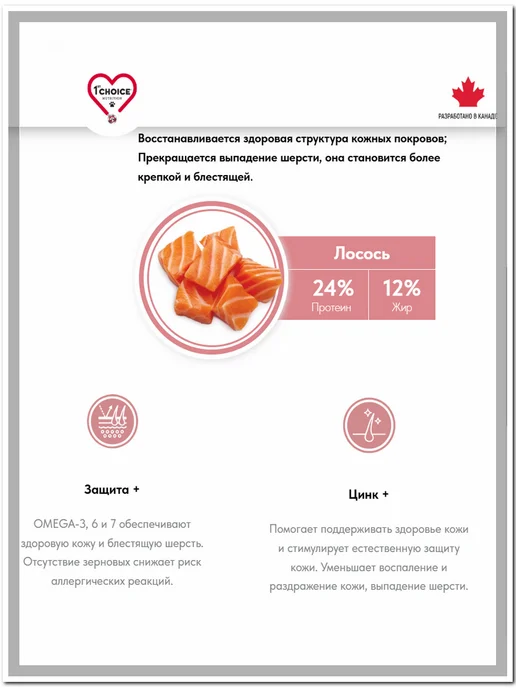Сухой корм 1st Choice Derma Кожей для собак, чувствительное пищеварение, лосось, 0,34 кг, фото 4