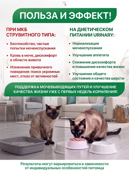 BLITZ Ветеринарный влажный корм для кошек при МКБ, urinary, вариант, фото 3