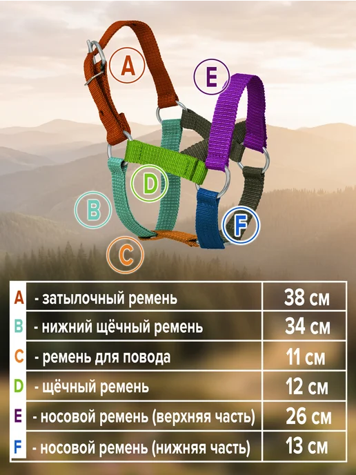 REITER Недоуздок для жеребят, двойной нейлон, 25 мм, красный, фото 2