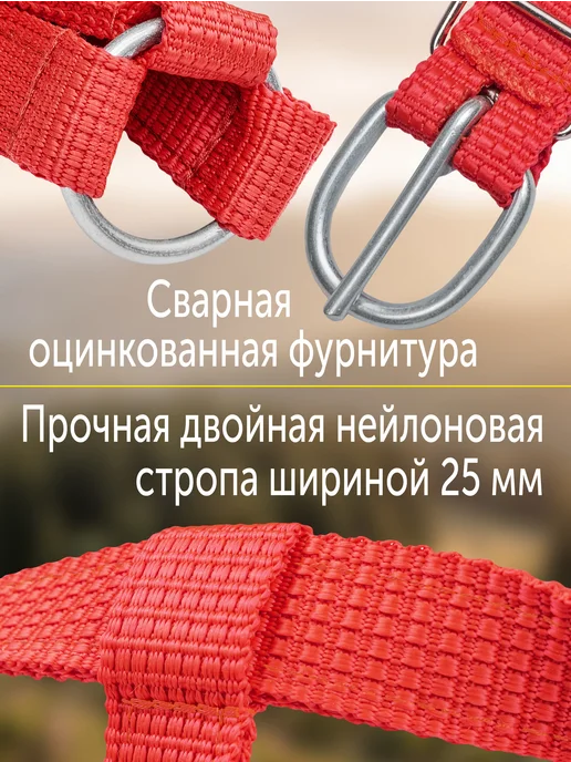 REITER Недоуздок для жеребят, двойной нейлон, 25 мм, красный, фото 3
