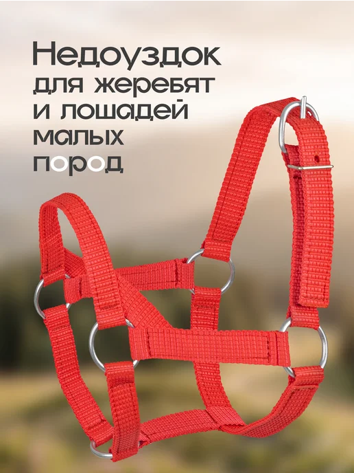 REITER Недоуздок для жеребят, двойной нейлон, 25 мм, красный, фото 4