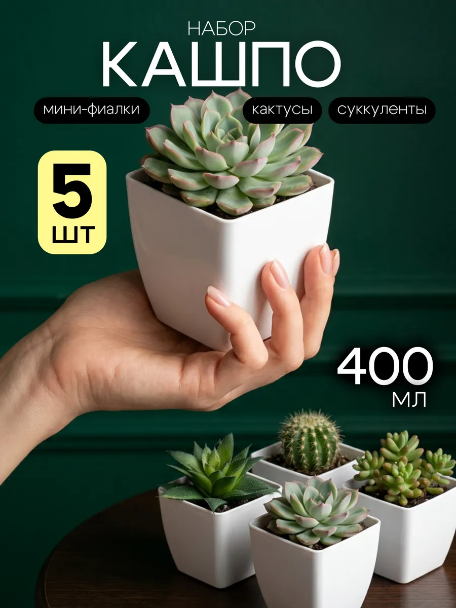 Кашпо для цветов комнатных. Горшок для кактуса и суккулентов