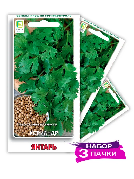 Агрохолдинг ПОИСК Семена Кориандр Янтарь, 3 х 3г (Набор 3 пачки), 3 г