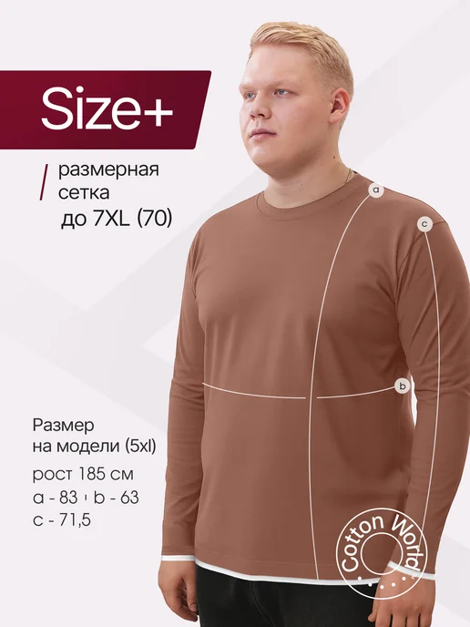 Cottonworld Набор лонгсливов 3 шт - футболки с длинным рукавом, 3 шт, фото 7