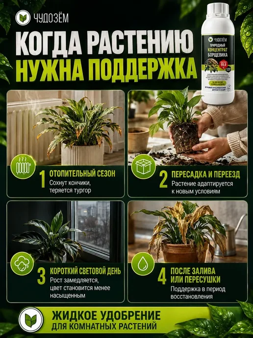 Чудозем Антистресс для комнатных растений Экстракт борщевика, вариант, фото 2
