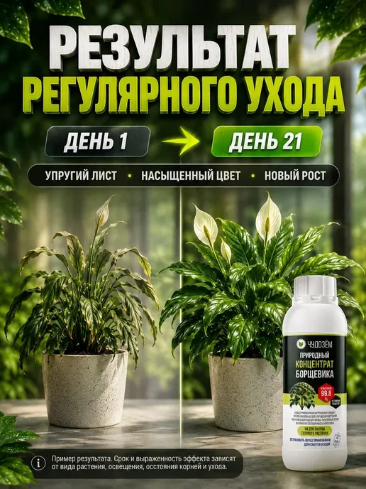 Чудозем Антистресс для комнатных растений Экстракт борщевика, вариант, фото 3