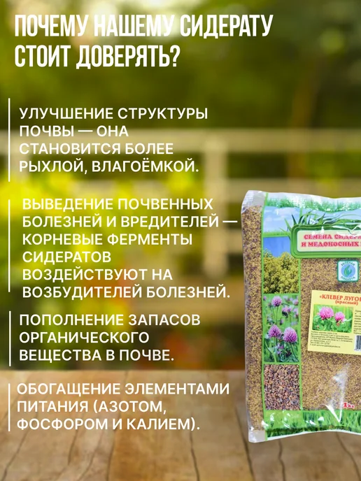 Зеленая планета Сидерат Клевер луговой 100 г, 100 г, фото 3
