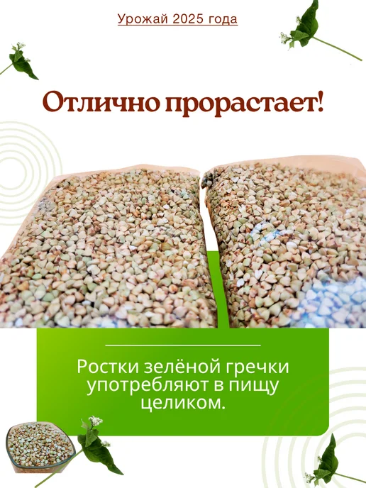 Детские секреты Крупа Гречневая зелёная непропаренная 500г*2, 500 г, фото 4