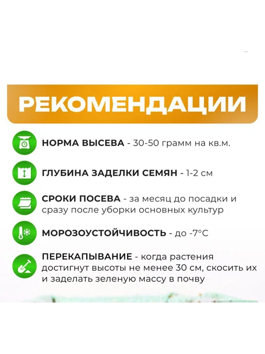 Склад Полезных Продуктов Смесь сидератов Летняя 1 кг, 3 кг, фото 3