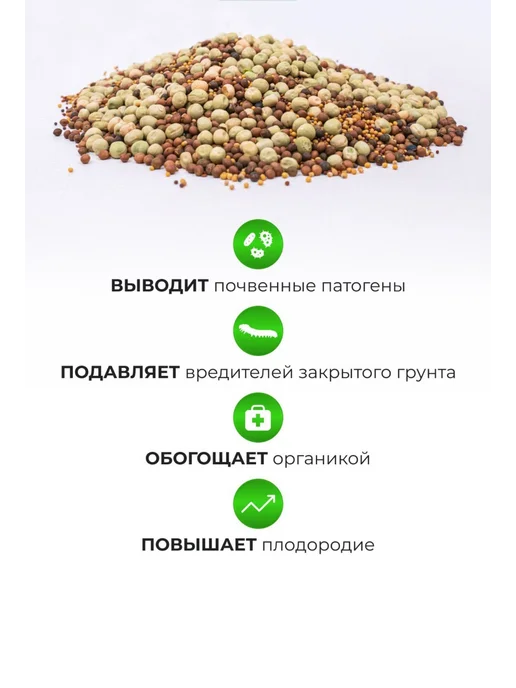 Склад Полезных Продуктов Смесь сидератов Летняя 1 кг, 3 кг, фото 5