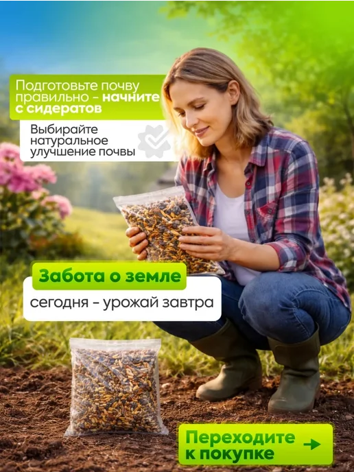 Склад Полезных Продуктов Смесь сидератов Летняя 1 кг, 4 кг, фото 7