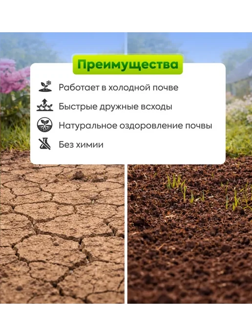 Склад Полезных Продуктов Смесь сидератов Летняя 1 кг, 10 кг, фото 4