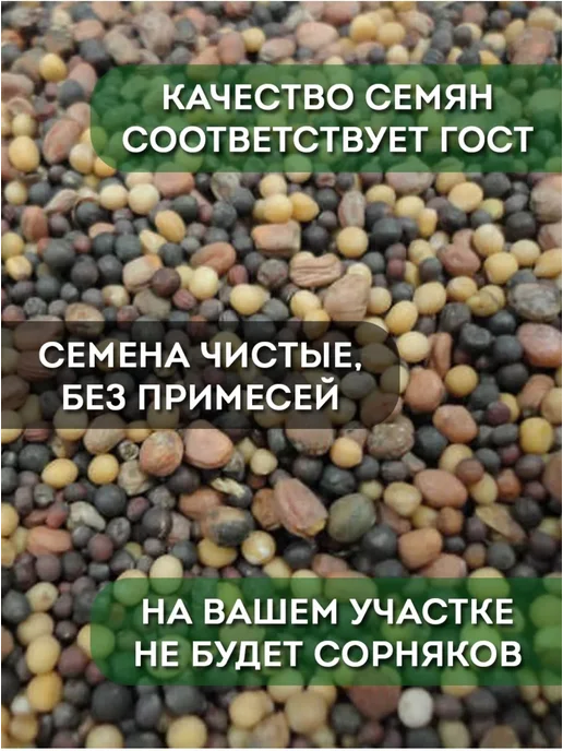 Склад Полезных Продуктов Смесь сидератов Летняя 1 кг, 1 кг, фото 2