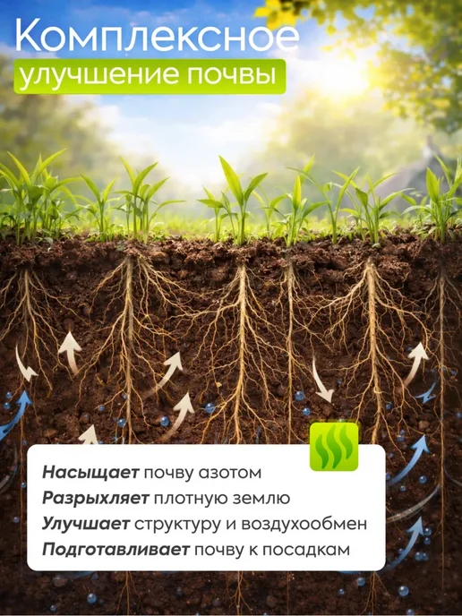 Склад Полезных Продуктов Смесь сидератов Летняя 1 кг, 1 кг, фото 3