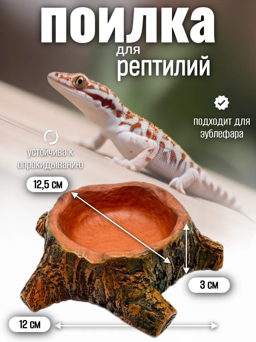 Кормушка поилка для рептилий