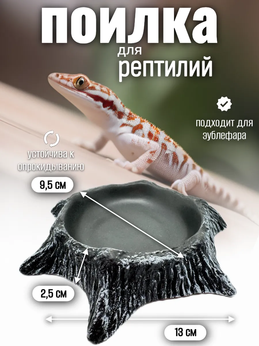 Кормушка поилка для рептилий