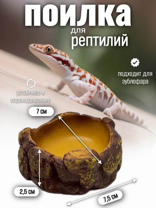 Кормушка поилка для рептилий, коричневый