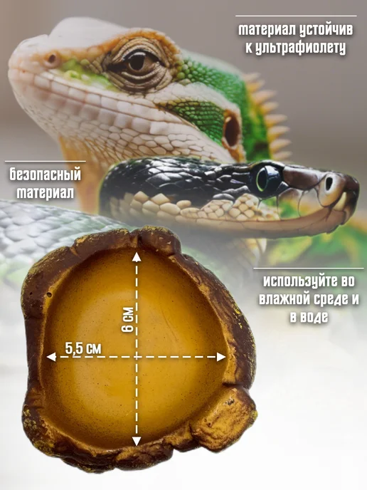 Кормушка поилка для рептилий, коричневый, фото 2