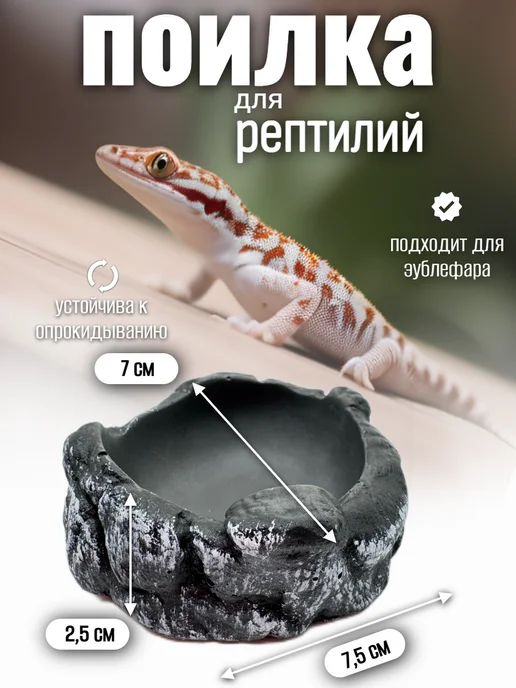 Кормушка поилка для рептилий, черный