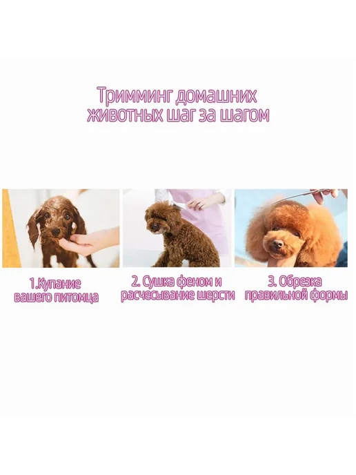 Ножницы для стрижки собак и кошек набор для грумин Розовый, розовый, фото 6