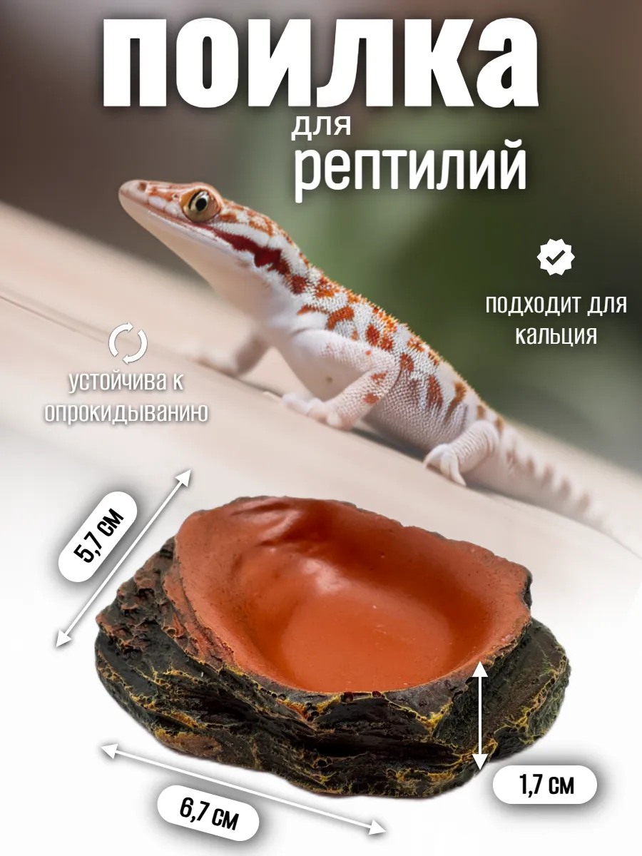 Кормушка-поилка для рептилий и насекомых