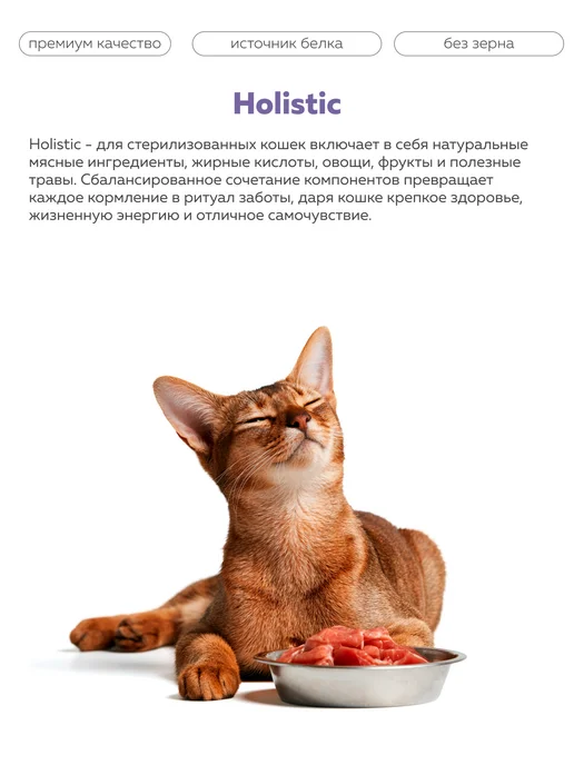 Сухой корм ЗООГУРМАН Кошек Holistic для собак, ягненок, 1,5 кг, фото 2