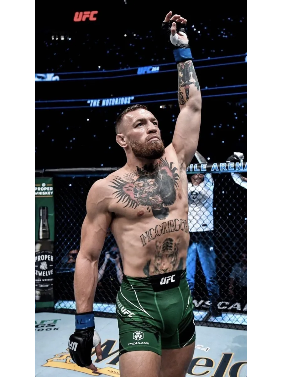 conor mcgreggor conor mcgregor net worth 2017 - Ilustrasi 3