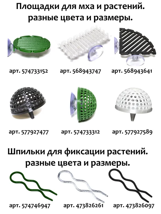 BestFish24 Альтернантера Розаэфолия меристемные растения, розовый, фото 3