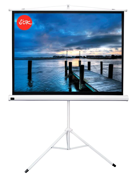 S'OK Экран для проектора 240x180 см 4 3 на штативе 118 дюймов, 240x180 см, фото 2