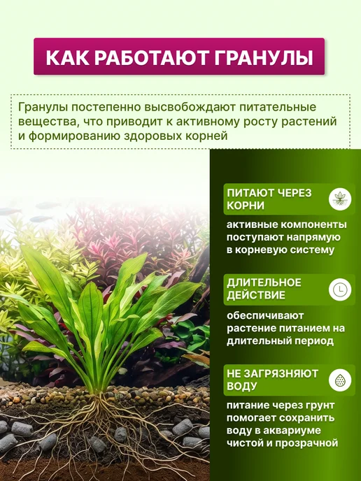 KIMANI Грунтовая подкормка для аквариумных растений, 600 мл, 60 мл, фото 4