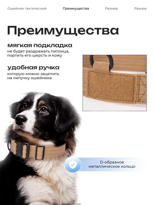 KINGDOM pets Ошейник для собак крупных и средних пород, бежевый, фото 2