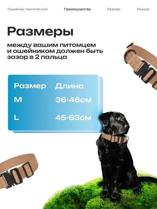 KINGDOM pets Ошейник для собак крупных и средних пород, бежевый, фото 5
