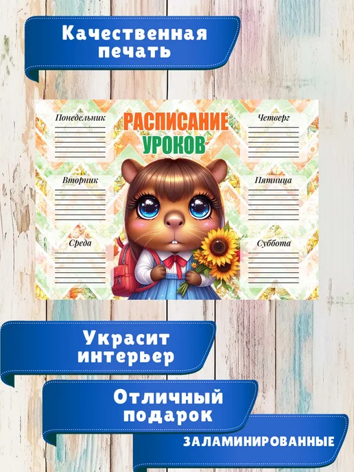 ТриШа Многоразовое расписание уроков А4 ламинированное, черный, фото 2